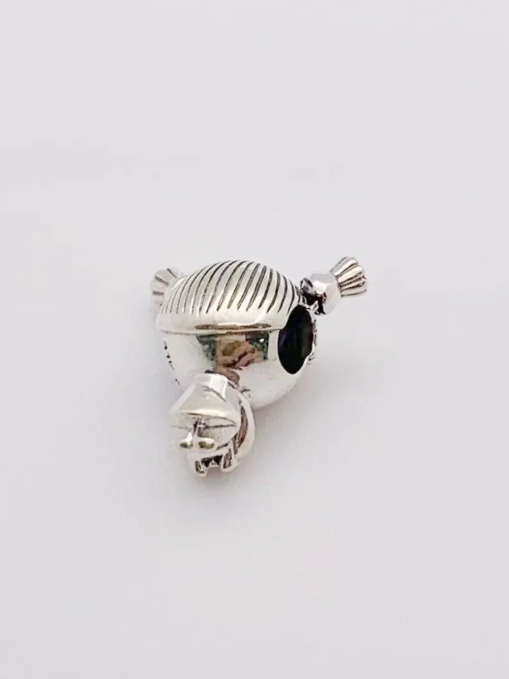 Pandora this charm